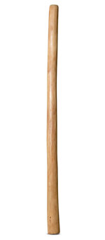 Medium Size Natural Finish Didgeridoo (TW1152)